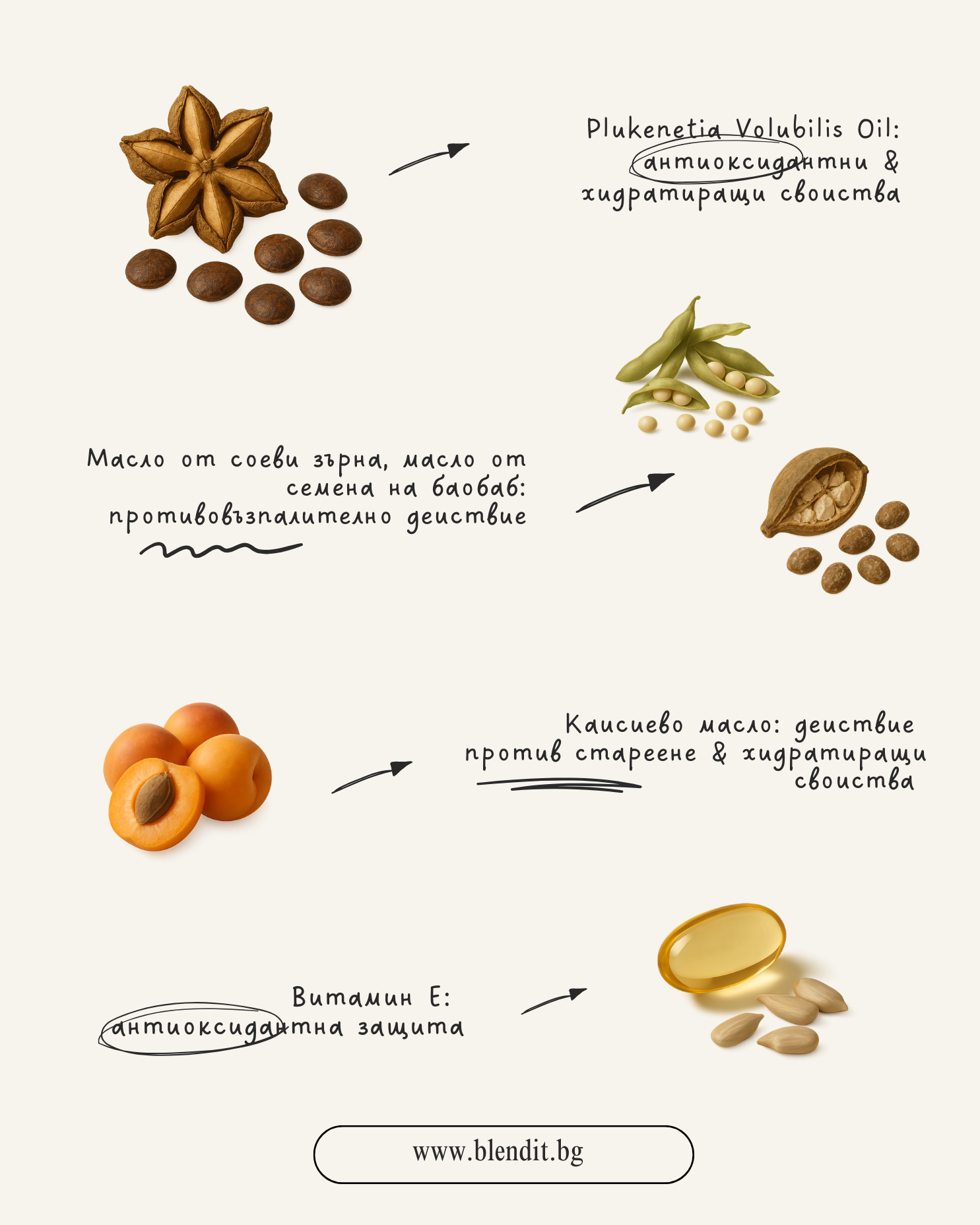 podmladyavashto-i-regulirashto-sebuma-maslo-za-litse-intensive-care-oils-youth-balance